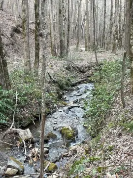 Secluded Mountain Property Near River