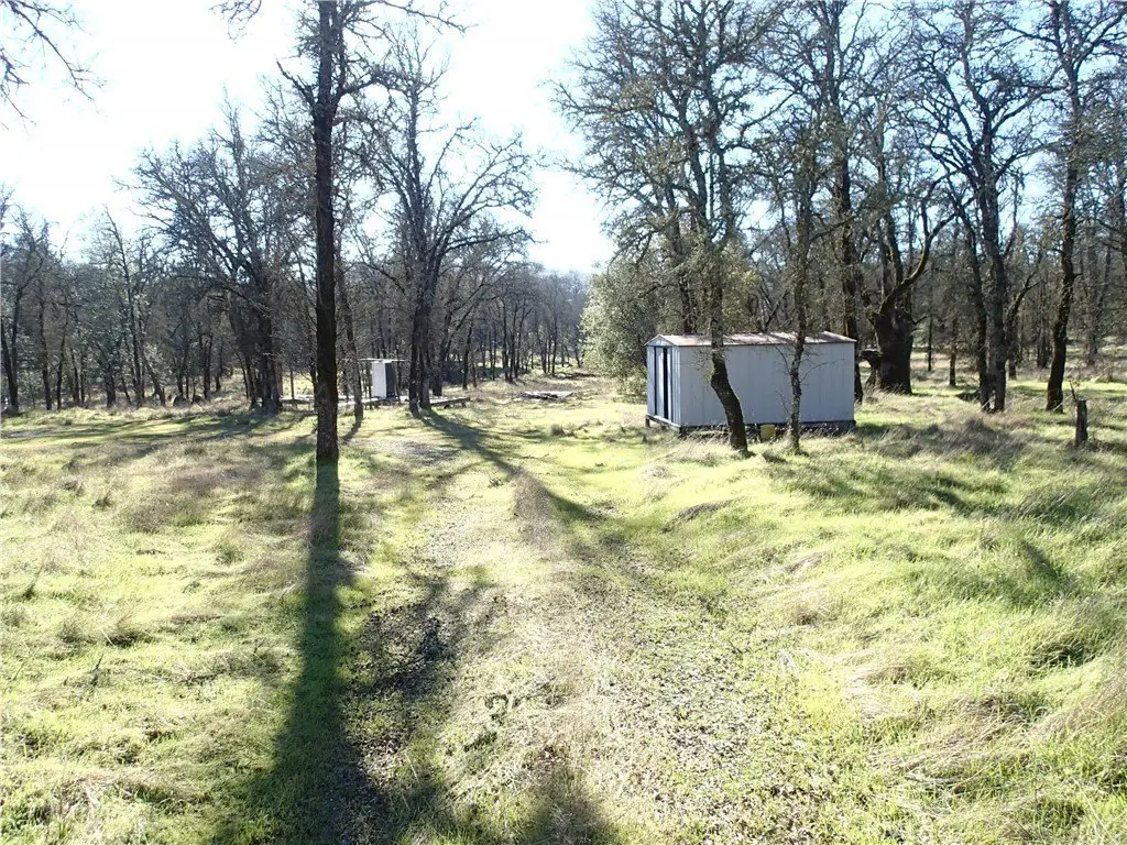 Picture 9