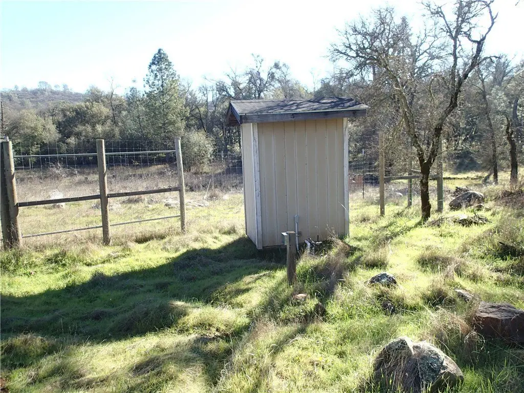 Picture 5