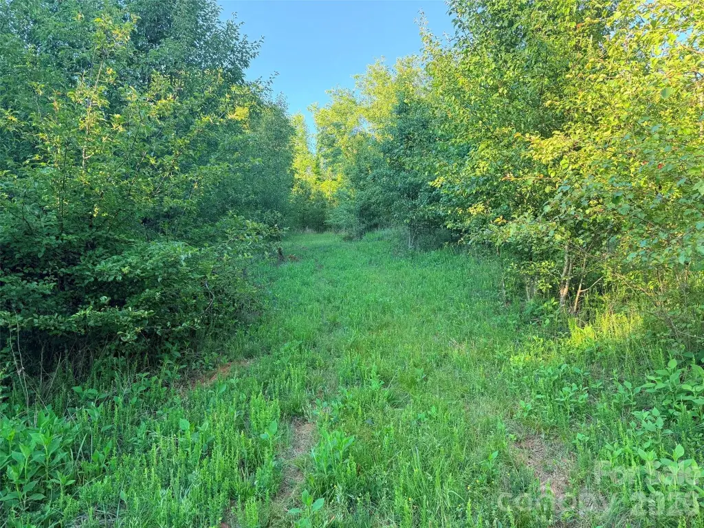 Picture 20