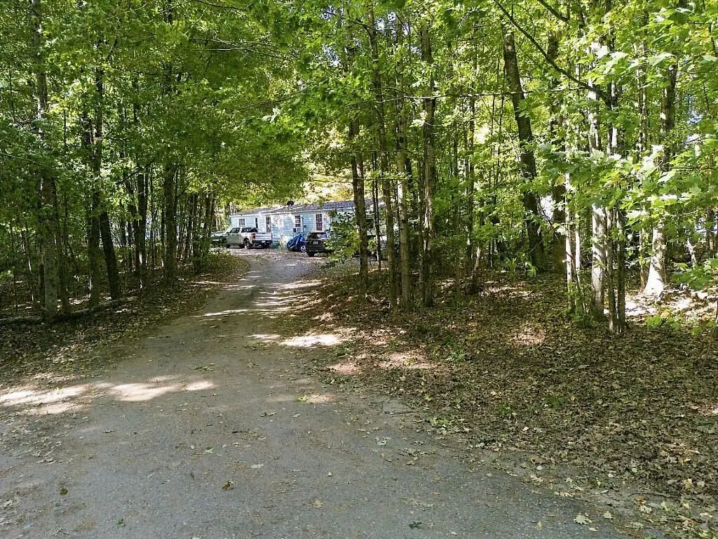 Picture 12