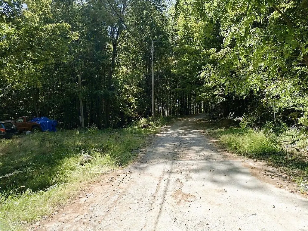 Picture 6