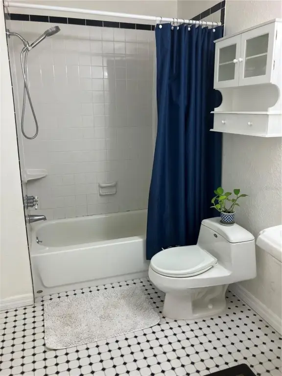Picture 11