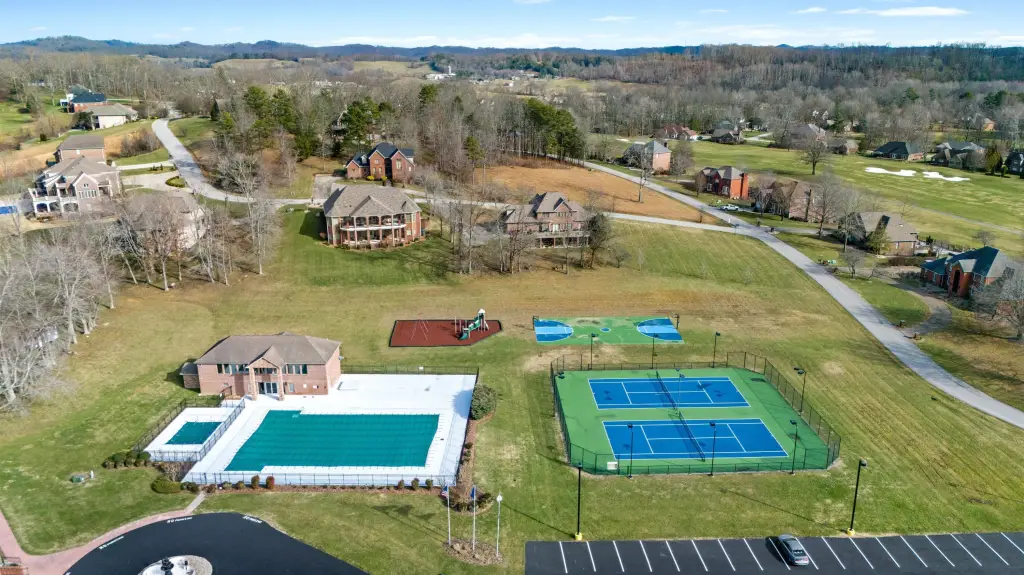 Picture 7