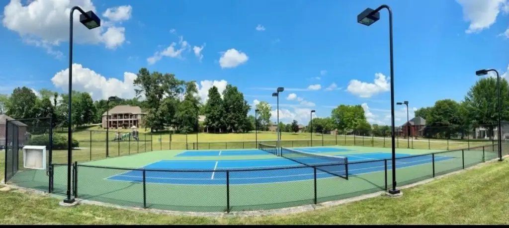 Picture 5