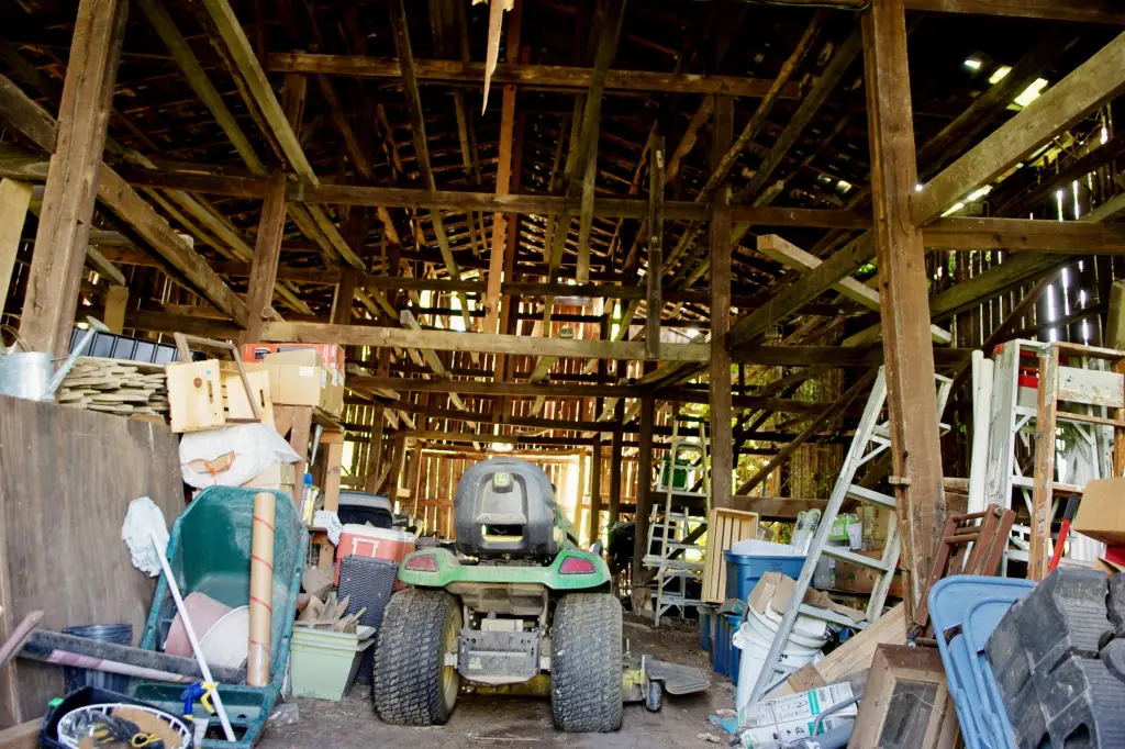 Picture 30