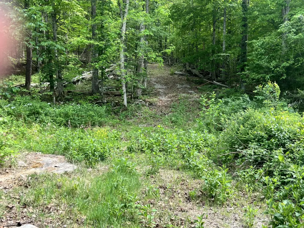 Picture 2