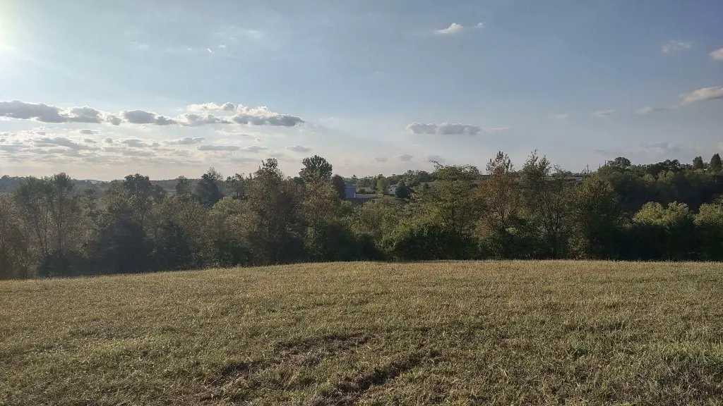 Picture 23