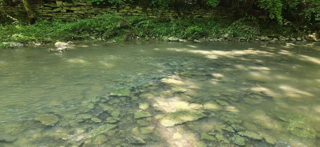 Picture 21