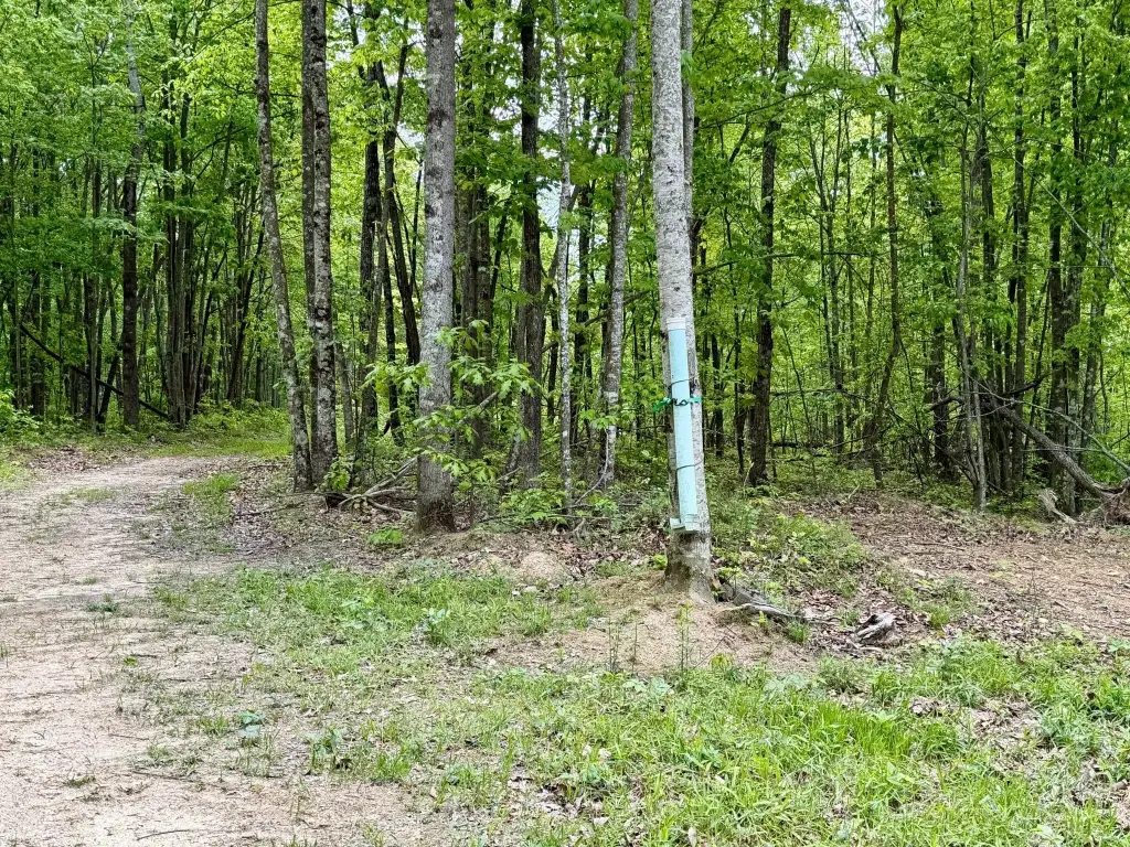Picture 21