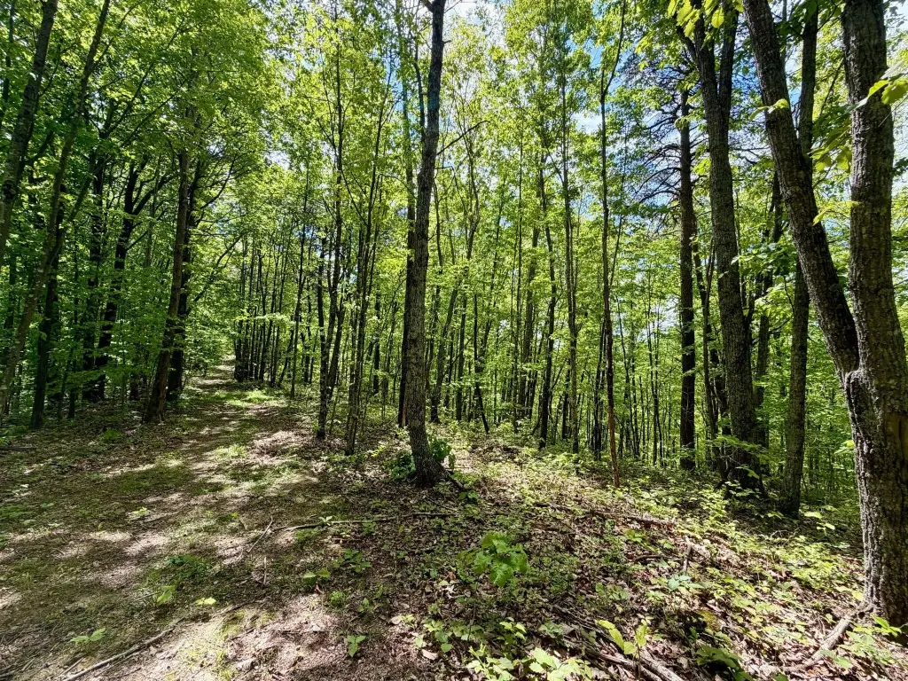 Picture 25