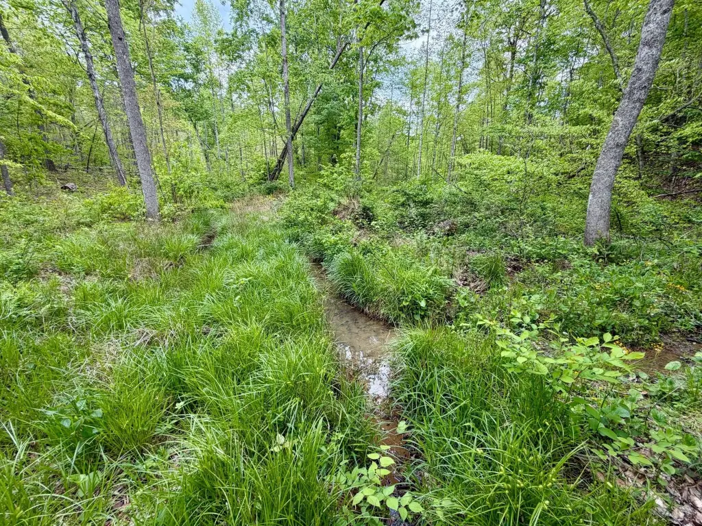 Picture 36