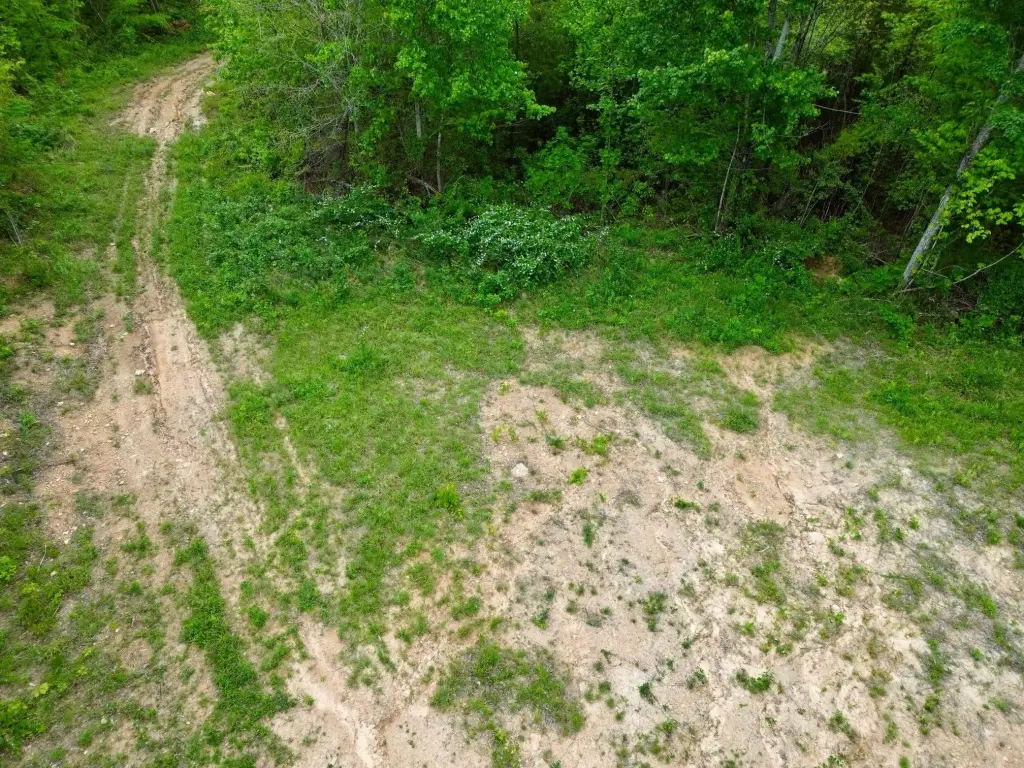 Picture 6