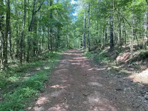 Scenic Land for Hunting, Recreation