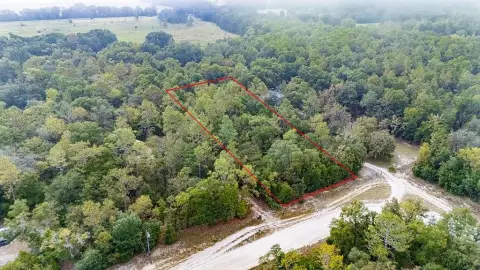 Land Near Suwannee River