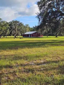 Lush Pasture Near Cedar Key