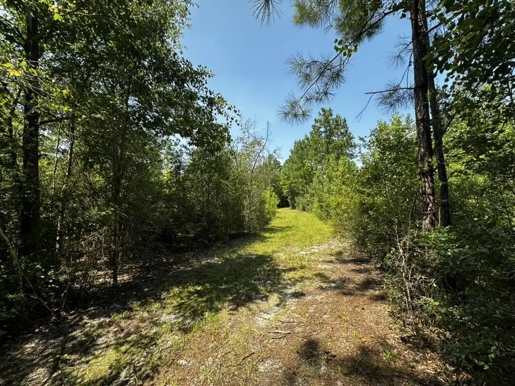 Picture 7
