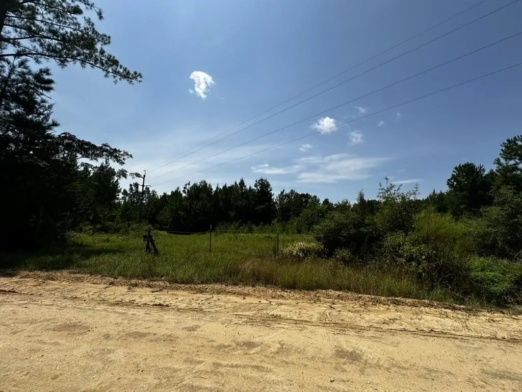 Picture 14
