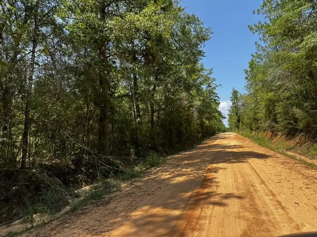 Picture 12