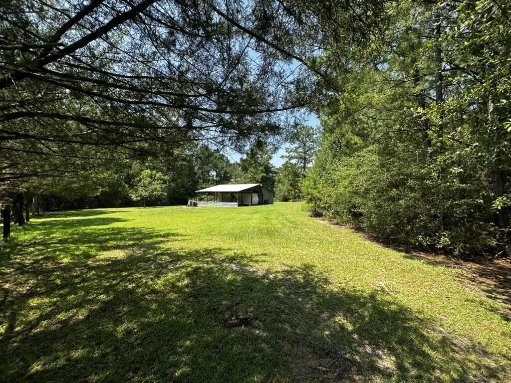 Picture 2