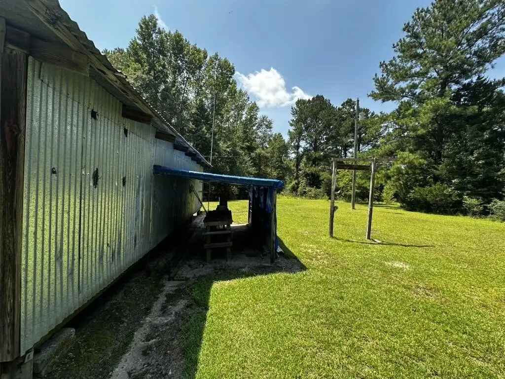Picture 5