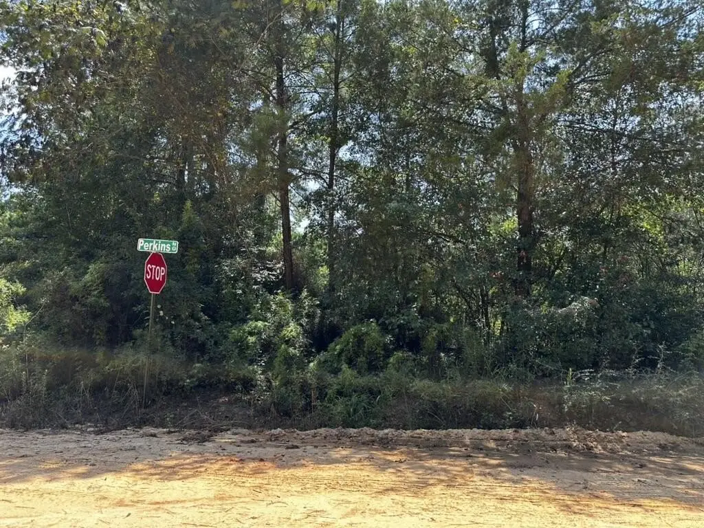 Picture 16