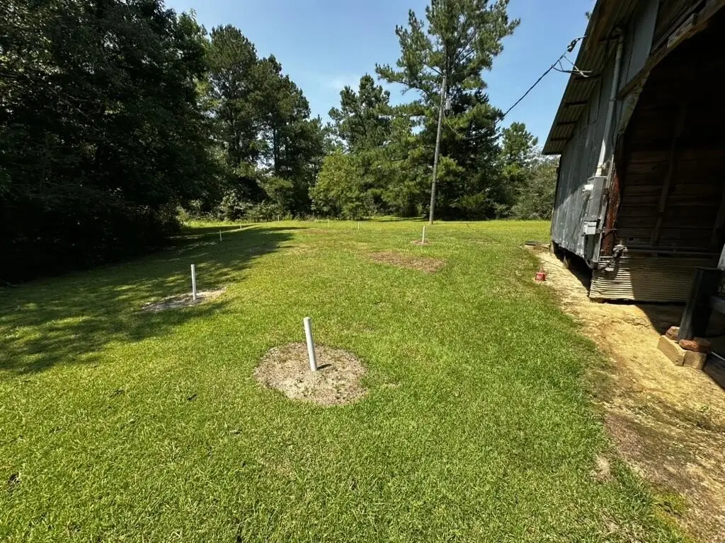 Picture 10