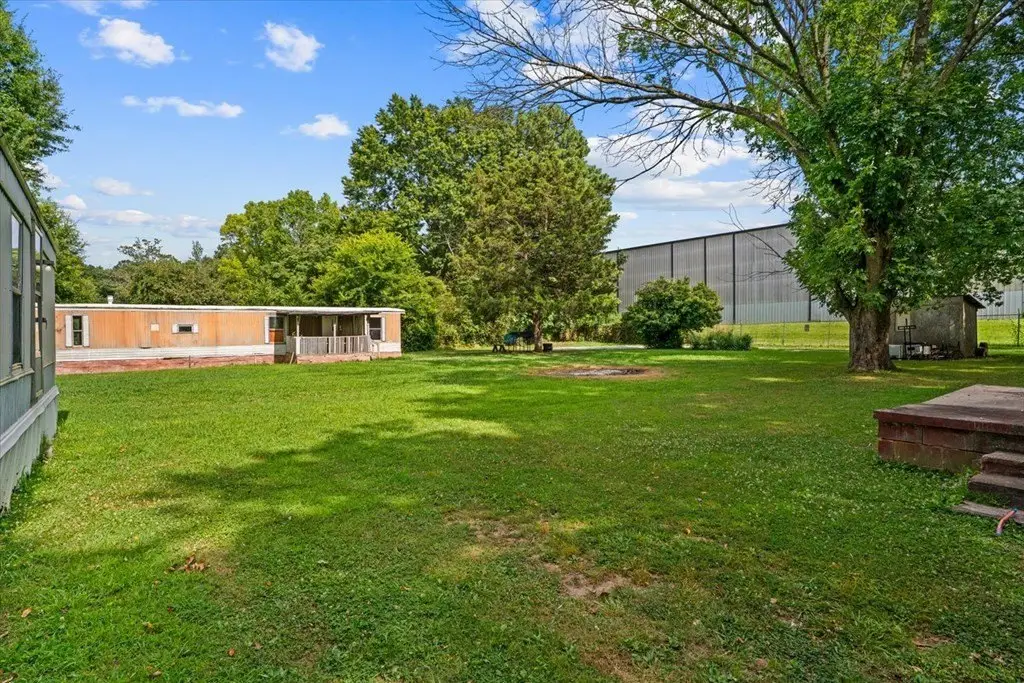 Picture 20
