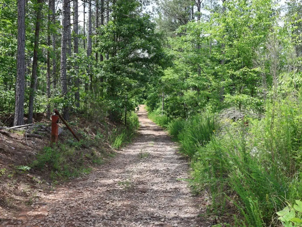Picture 7