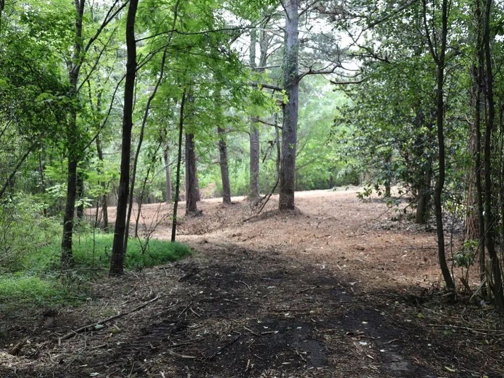 Picture 13