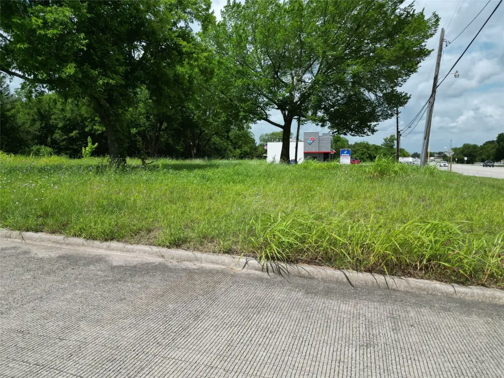 Picture 12