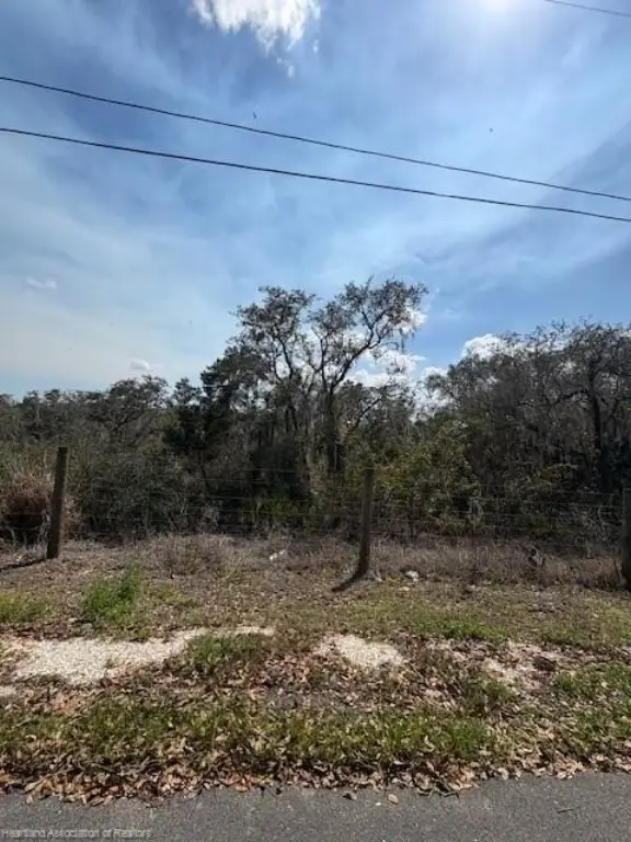 Picture 13