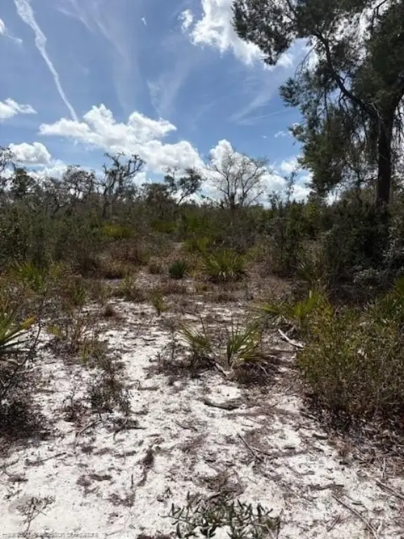 Picture 6