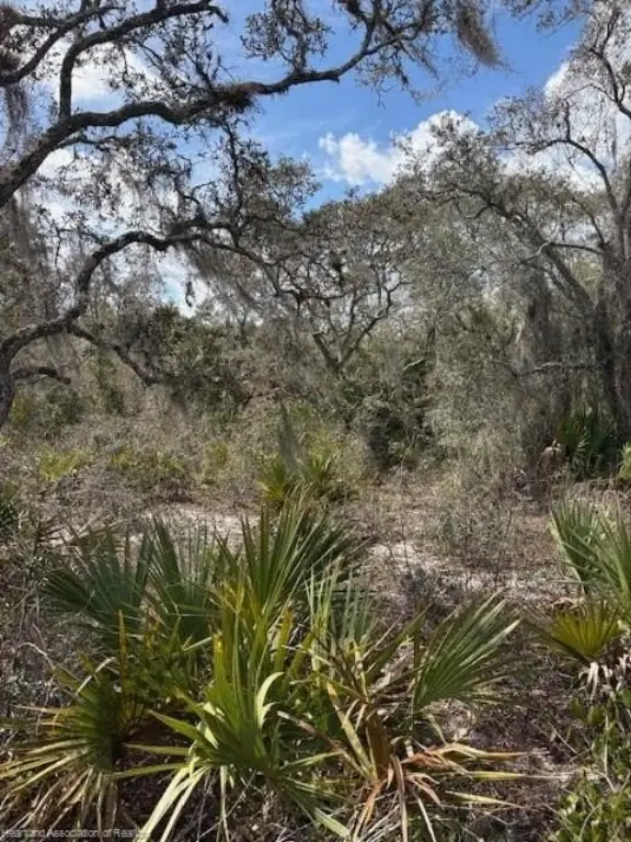 Picture 9