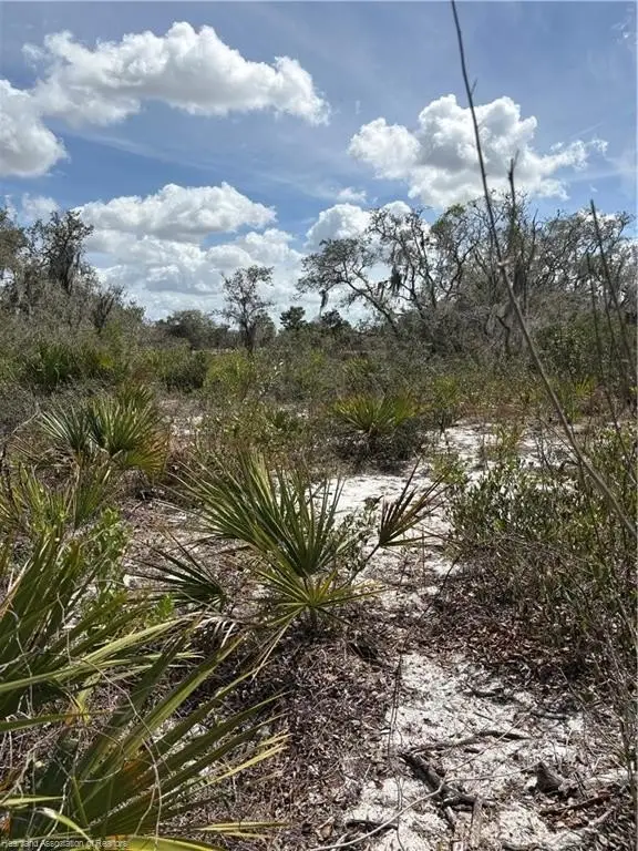 Picture 20