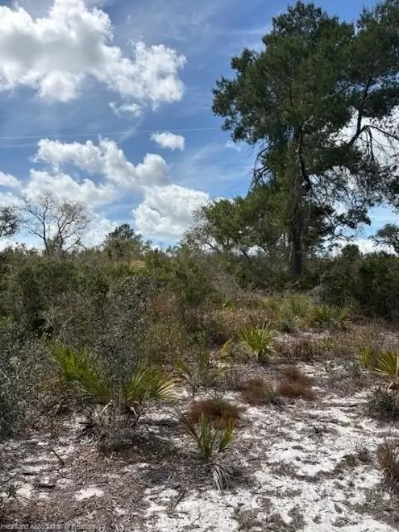 Picture 5