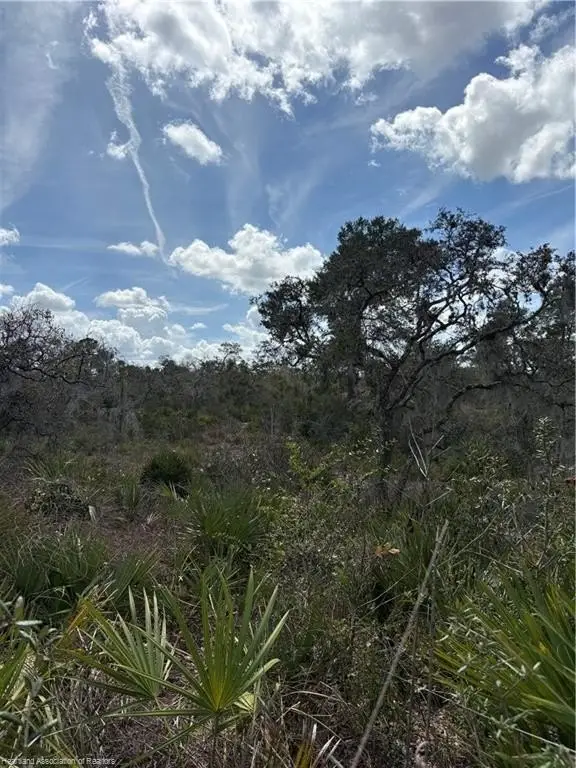 Picture 17
