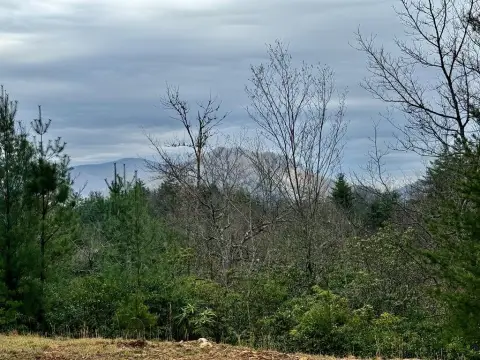 Topton, NC Land Homesite