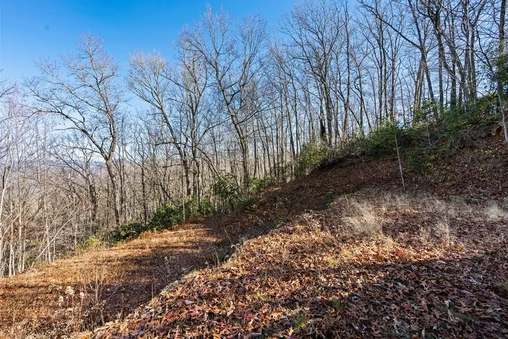 Picture 21