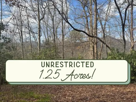 Unrestricted Land in Marvic Hills