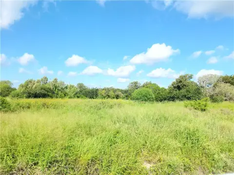 Versatile Land in Odem, Texas