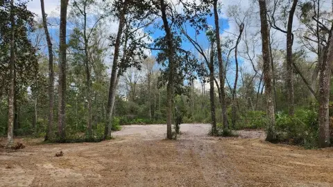 Chiefland Homesite with Acreage