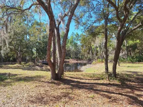 Acreage Near Cedar Key
