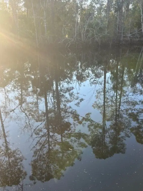 Picture 18
