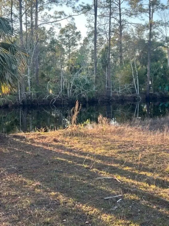 Picture 4