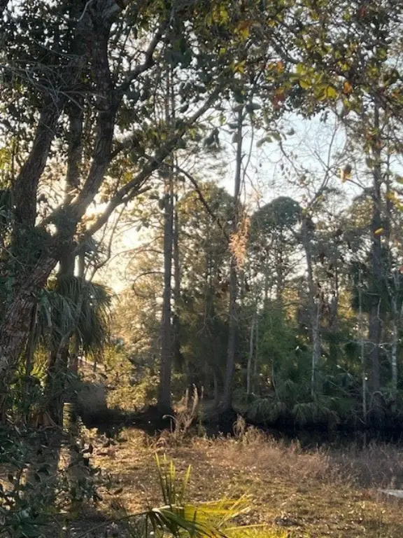 Picture 13