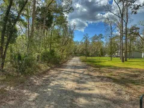 Land Near Suwannee River