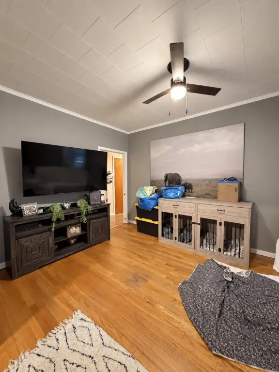 Picture 5