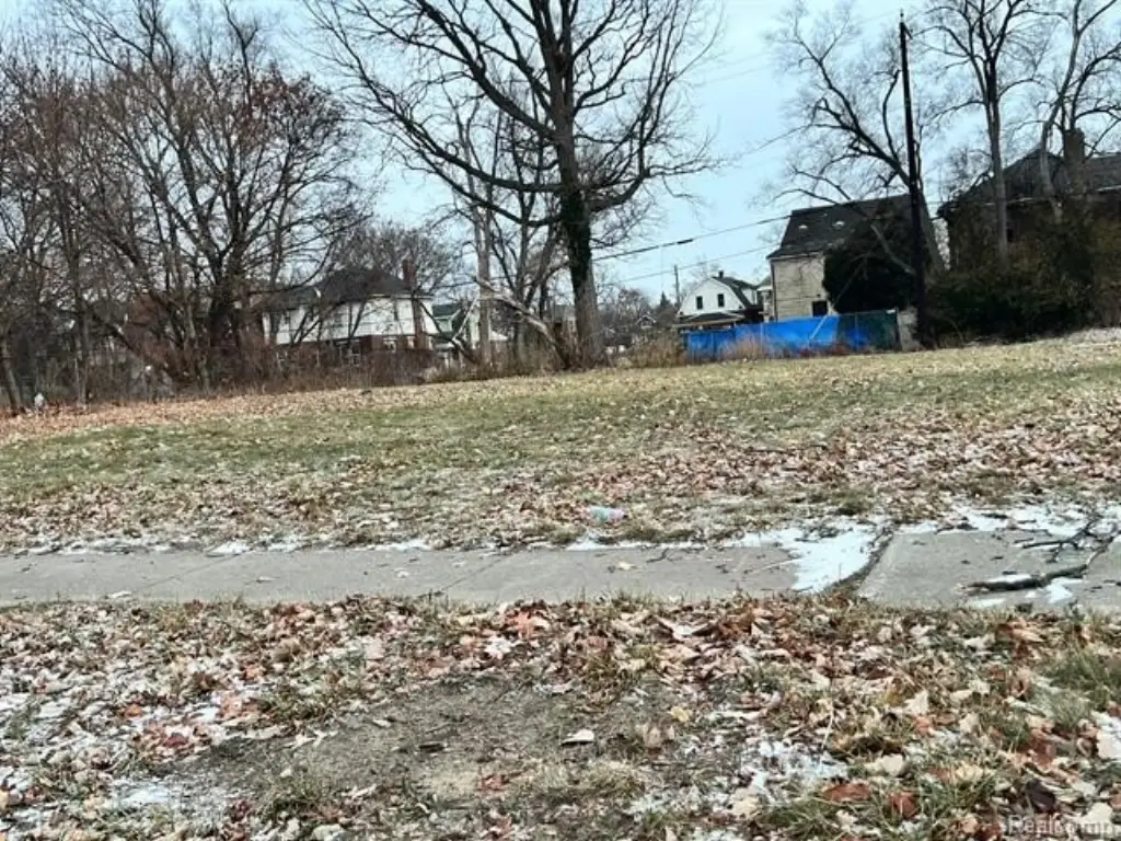 Picture 41