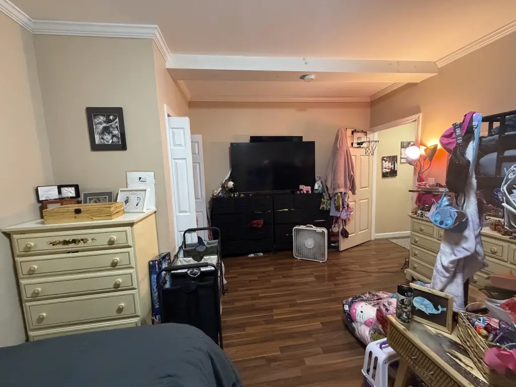 Picture 44
